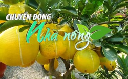 Chuyển động Nhà nông 05/01: Thêm một loại trái cây Việt Nam sắp được xuất khẩu sang Mỹ