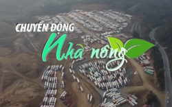 Chuyển động Nhà nông 06/01: Trung Quốc tiếp tục dừng xuất nhập khẩu qua cửa khẩu Quảng Ninh