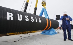 Đây là lý do dự án Nord Stream 2 có thể 'đắp chiếu' bất kể Putin làm gì