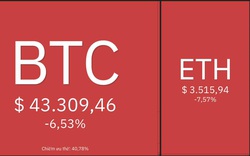 Giá Bitcoin hôm nay 6/1: Bitcoin giảm mạnh, thị trường chao đảo
