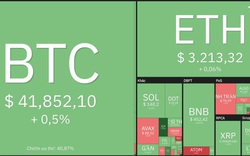 Giá Bitcoin hôm nay 8/11: Bitcoin cắm đầu lao dốc, thị trường ảm đạm