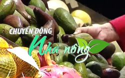 Chuyển động Nhà nông 09/01: Hà Nội dự trữ 17 mặt hàng thiết yếu phục vụ Tết