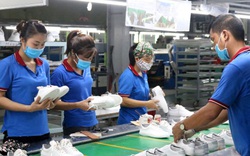 Thúc đẩy thương mại Việt Nam - Mỹ Latinh