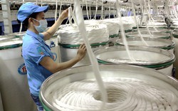 Sắp tổ chức Ngày hội Cotton Day Việt Nam 2022 tại TP.HCM
