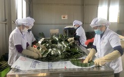 Vì sao Nhật Bản, Hàn Quốc thích mua lá dong, lá chuối, lá tre mọc đầy vườn, cho không ai lấy ở Việt Nam?