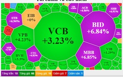 Dòng tiền tham lam tranh mua, VN-Index tăng mạnh nhất châu Á