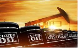 Giá xăng dầu hôm nay 12/10: Giá dầu thô tiếp tục giảm mạnh