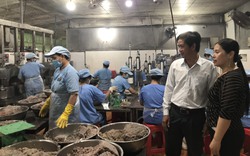 Khánh Hòa: Trên 1.500 doanh nghiệp thành lập mới