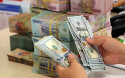 “Bất ngờ” dự trữ ngoại hối "hụt" 21 tỷ USD: Có đáng ngại?