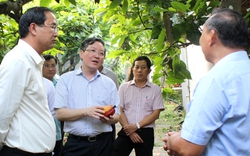 "Ý nghĩa của danh hiệu Nông dân Việt Nam xuất sắc không chỉ ở doanh thu tiền tỷ"