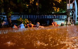 CSGT Đà Nẵng đầm mình trong nước lũ để cứu hộ người, phương tiện