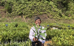 Một ông nông dân được công nhận là người định danh loài cây "nữ hoàng" ở Lạng Sơn