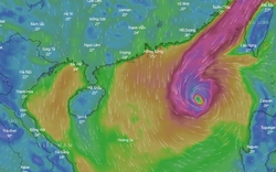 Bão số 6 NESAT giật cấp 14, cách Hoàng Sa 720km