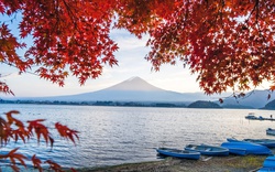 3 trải nghiệm tận hưởng mùa thu Nhật Bản