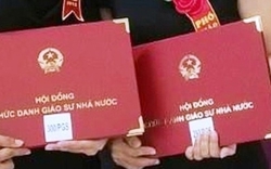 Vì sao số ứng viên được đề nghị công nhận chức danh GS, PGS năm 2022 giảm mạnh?