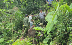 Bí thư, Chủ tịch huyện Bắc Mê, Hà Giang bị kỷ luật khiển trách vì để xảy ra phá rừng