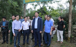 Phó Chủ tịch tỉnh Thanh Hóa đề nghị ban bố tình huống khẩn cấp do biển xâm thực ở Tân Xuân 