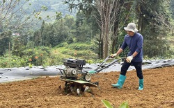 Rất nhiều lao động dân tộc thiểu số "bứt phá" thành công, kiếm hàng trăm triệu đồng mỗi năm theo cách này