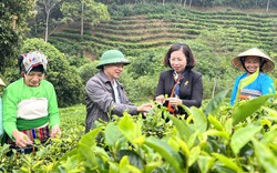 Phó Chủ tịch Trung ương Hội NDVN Bùi Thị Thơm kiểm tra công tác Hội và phong trào nông dân 2022 tại Thanh Hóa