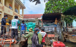Nông dân Đắk Lắk được hỗ trợ trồng vải thâm canh ứng dụng chế phẩm vi sinh vật