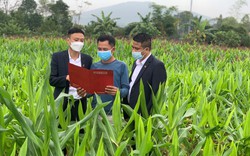 Một điểm sáng thành công trong chuyển đổi số song hành cùng chính sách tam nông tại Agribank