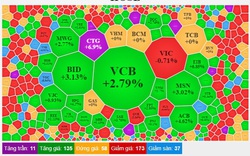 Phiên giao dịch “tàu lượn” khiến nhà đầu tư đứng tim, VN-Index bất ngờ tăng 11,55 điểm