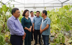 Nông dân Hà Nội thay đổi tư duy, làm nông dân chuyên nghiệp, sản xuất theo tín hiệu thị trường