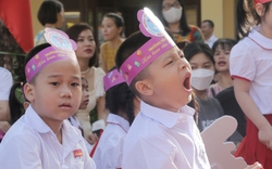 Chuyên gia giáo dục: "Hãy để học sinh dừng học trước 10h tối, nếu không... cần xem lại"