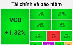 Thị trường chứng khoán "quay xe" ngoạn mục, VN-Index hồi hơn 35 điểm