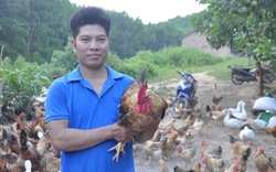 Thả gà "khoác áo hoa" cuốc bộ leo đồi, nông dân này ở Quảng Ninh đổi đời, xây được nhà đẹp như biệt thự