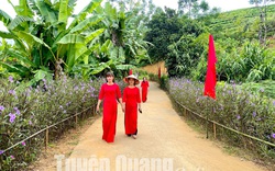 Tuyến đường hoa nông thôn mới này ở Tuyên Quang bông nở miên man, tự dưng dân chăm tập thể dục hẳn lên