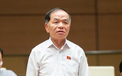 ĐBQH Lê Thanh Vân: Cần có chính sách khoan dung cho doanh nhân "ăn năn hối cải", "sẵn sàng lập công chuộc tội"