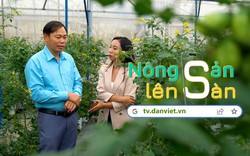 NÔNG SẢN LÊN SÀN: Gặp gỡ tỷ phú rau xanh Lâm Đồng - Phạm Ngọc Thạch 