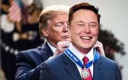 Tỷ phú Elon Musk thâu tóm Twitter: Ông Donald Trump hả hê