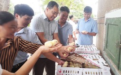Đổi mới cách dạy nghề, tạo việc làm cho lao động nông thôn ở Phú Thọ