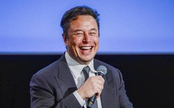 Tỷ phú Elon Musk khiến nhiều người chỉ trích vì kế hoạch hòa bình ở Ukraine