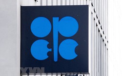 OPEC+ nhất trí cắt giảm sản lượng dầu mỏ ở mức 2 triệu thùng/ngày