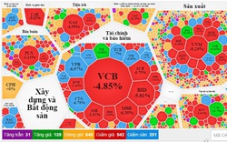 Thị trường chứng khoán phiên cuối tuần ảm đạm với 251 cổ phiếu giảm sàn, VN-Index mất gần 39 điểm