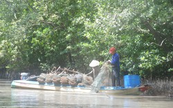 Bắt nguyên Giám đốc Vườn quốc gia Mũi Cà Mau và thuộc cấp vì hành vi tham ô hơn 6,5 tỷ đồng