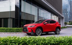 Triệu hồi loạt xe sang Lexus NX350 tại Việt Nam dính lỗi nguy hiểm