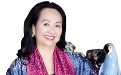 Bà Trương Mỹ Lan, Chủ tịch Vạn Thịnh Phát bị bắt: SCB khẳng định không liên quan