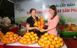 Hà Nội đẩy mạnh liên kết tiêu thụ trái cây, nông sản