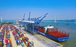 Cảng Đồng Nai (PDN): Chốt ngày tạm ứng cổ tức năm 2022, báo lãi quý III tăng 77% 
