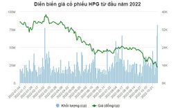 Kỷ lục hơn 81 triệu cp HPG được sang tay trong một phiên