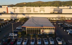 "Trùm" ô tô điện Tesla thu hồi hơn 24.000 xe do vấn đề dây an toàn