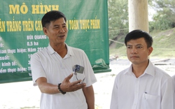 Một nông dân ở Quảng Trị lãi 2 tỷ/năm nhờ nuôi tôm an toàn sinh học 2 giai đoạn