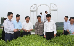Phó Chủ tịch Thường trực Trung ương Hội NDVN Phạm Tiến Nam kiểm tra công tác Hội và phong trào nông dân tại Thái Nguyên