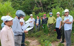 Ninh Thuận: Cưỡng chế các hộ lấn chiếm đất rừng tại Vườn quốc gia Núi Chúa