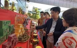 Hội chợ Sâm Lai Châu: Mở ra nhiều dự án quan trọng