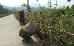 Người dân Minh Quang rủ nhau làm đường hoa, xây dựng quê hương thành nơi “đáng sống”